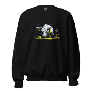 Pullover - Bull Markets2k27