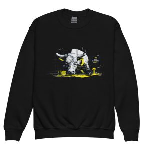 Pullover für Kids - Bull Markets2k27